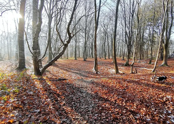 Couette-café Les Sittelles - Tilff