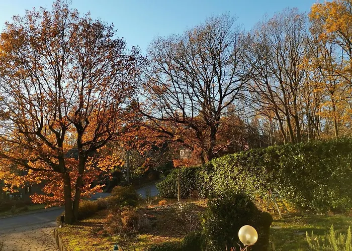 Les Sittelles - Tilff